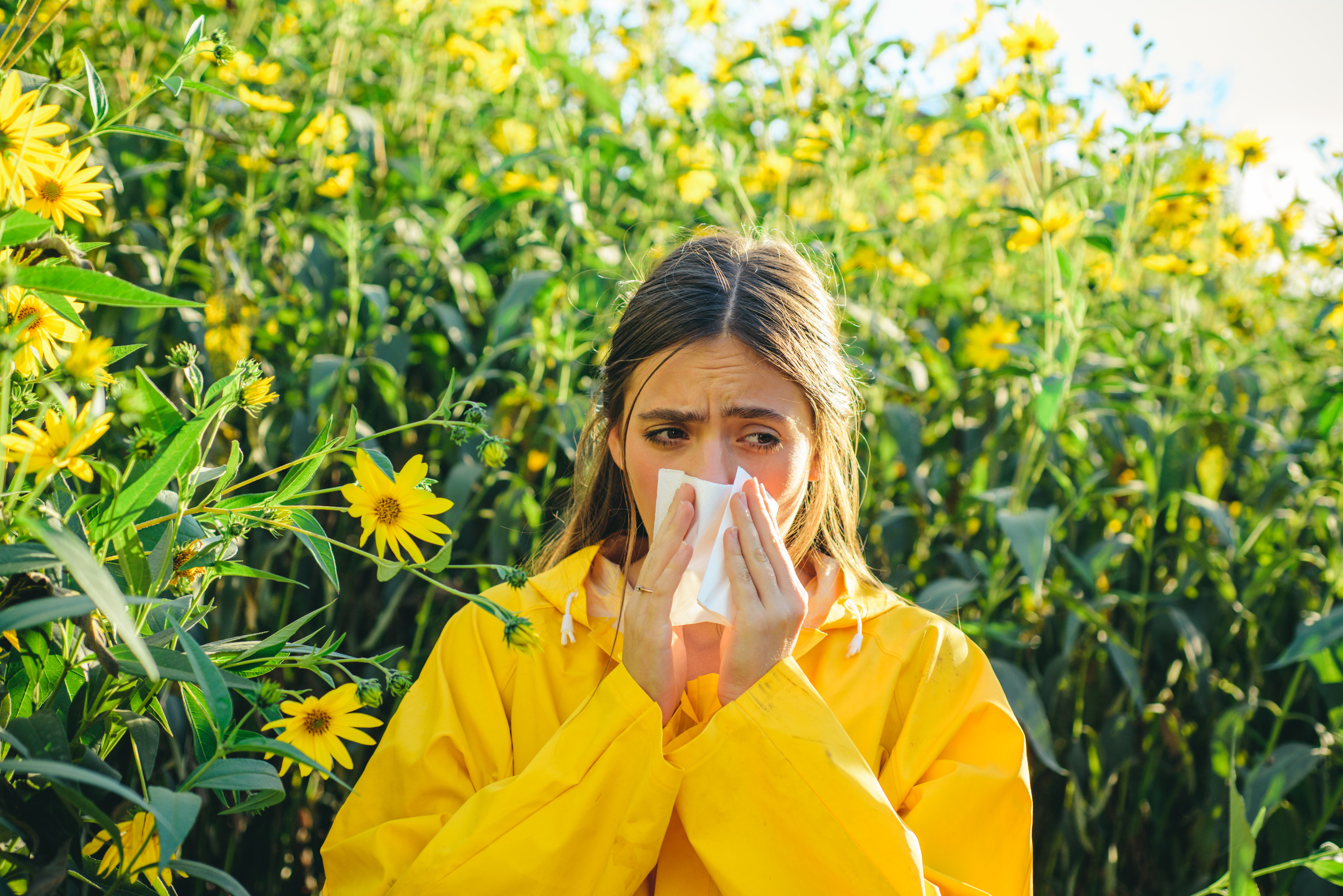 allergie au pollen